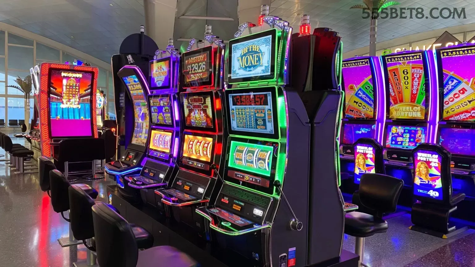 555bet Game